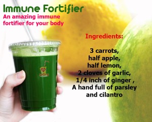 immune fortifier